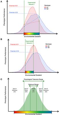 Enviromic Assembly Increases Accuracy and Reduces Costs of the Genomic Prediction for Yield Plasticity in Maize